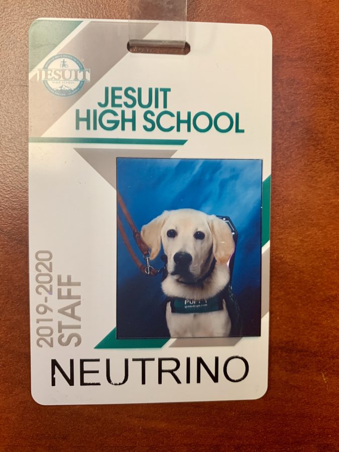 Jesuits+New+Guide+Dog
