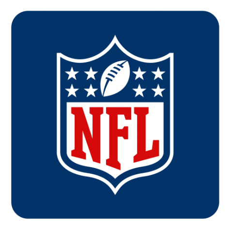 The NFL Logo