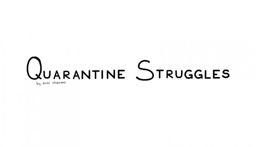 Quarantine+Struggles%3A+The+Introduction