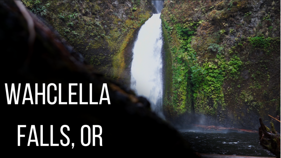 VIDEO: Trail Review - Wahclella Falls, OR