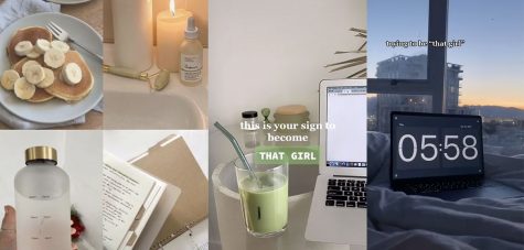 Common habits and aesthetics associated with the That Girl trend. Image credit: “In The Know” Magazine https://www.intheknow.com/post/that-girl-tiktok