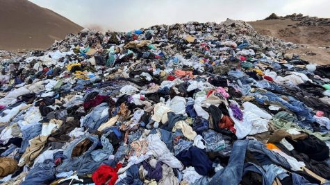 Fast fashion contributes to over 10% of global pollution, including the majority of textiles reaching landfills before their lifespan is over.