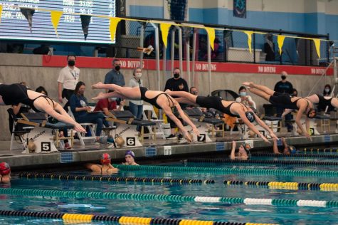 Jesuit swimmers dive into the pool.