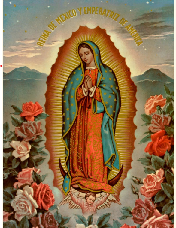 Our+Lady+of+Guadalupe+from+the+US+conference+of+Catholic+Bishops