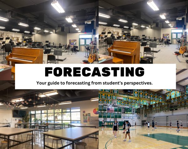 Everything You Need To Know For Forecasting