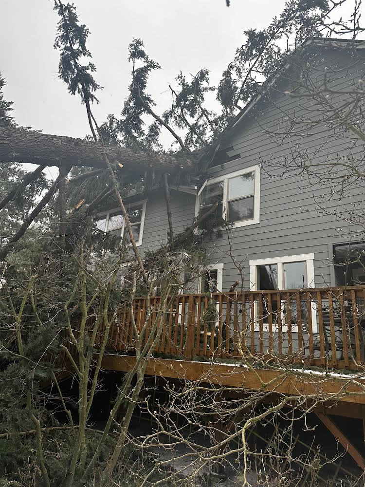 A large tree fell during the January storm and severely damaged the Kennedys’ home.