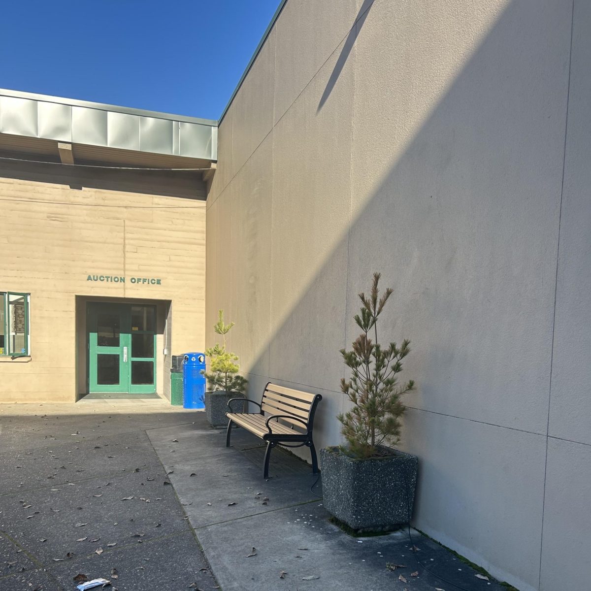 Self Phone Area